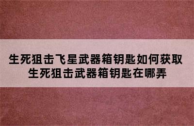 生死狙击飞星武器箱钥匙如何获取 生死狙击武器箱钥匙在哪弄